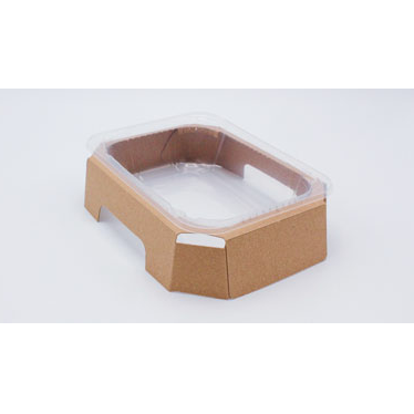 ANL Packaging Turtlebox hybrid packaging ANL Packaging Turtlebox hybrid packaging